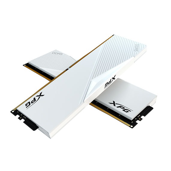 威剛 XPG Lancer DDR5 6000 32GB*2 白