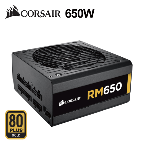 海盜船 RM650(650W)