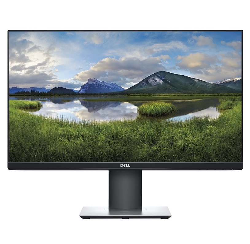 DELL P2421D