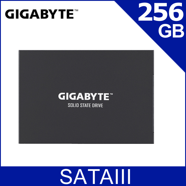 GIGABYTE 技嘉 UD PRO 256GB