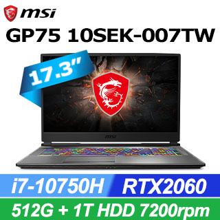 MSI GP75 10SEK[007TW]