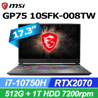 MSI GP75 10SFK[008TW]