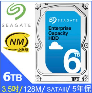 Seagate 6TB 【企業級】
