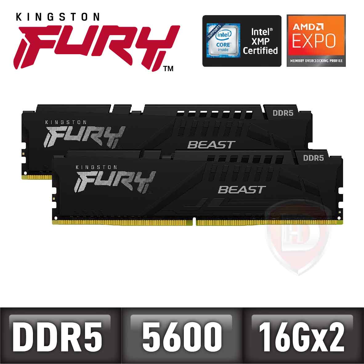 金士頓 16GB*2 DDR5-5600/CL36 FURY Beast (獸獵