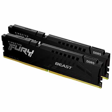 金士頓 16GB*2 DDR5-5600/CL36 獸獵者(黑)