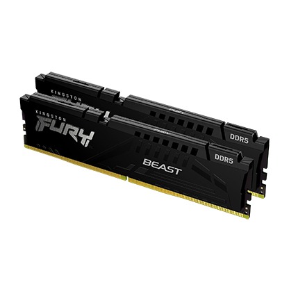金士頓 32GB*2 DDR5-5600 FURY Beast(獸獵者) 黑