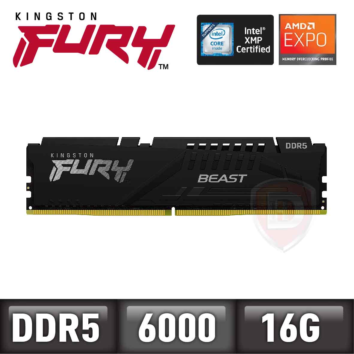 金士頓 單條 16GB DDR5-6000(CL36) FURY Beast B