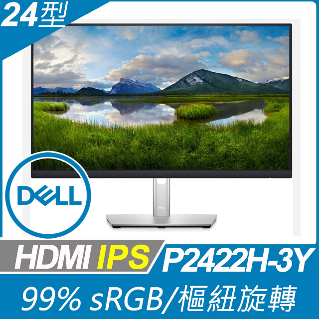 DELL P2422H