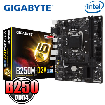 技嘉 GA-B250M-D2V 