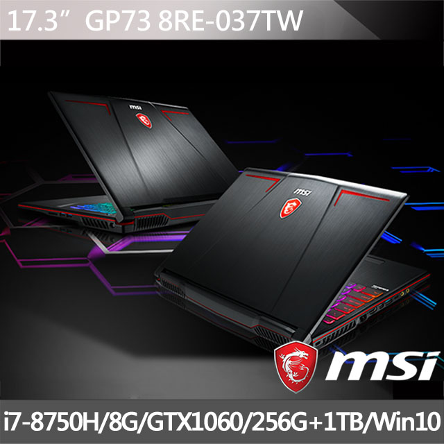 GP73 8RE【037TW】(i7-8750H/8G/NV1060-6G)
