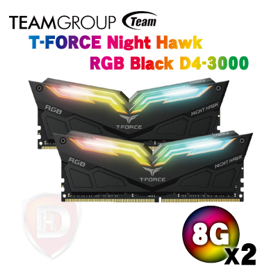 T-FORCE Night Hawk RGB Black D4-3000 C16