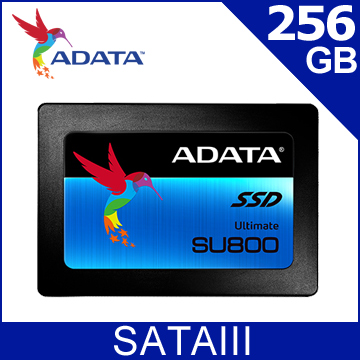 威剛 Ultimate SU800 256G