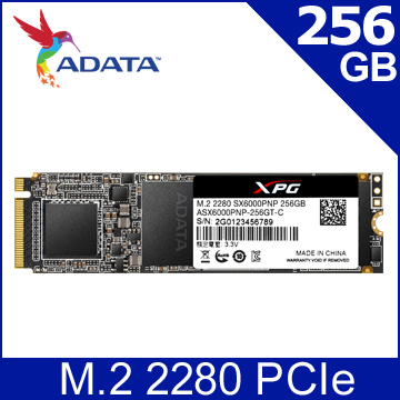 威剛 XPG SX6000 Lite 256G