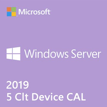Server CAL 2019 繁中 5 Clt Device CAL 隨機版