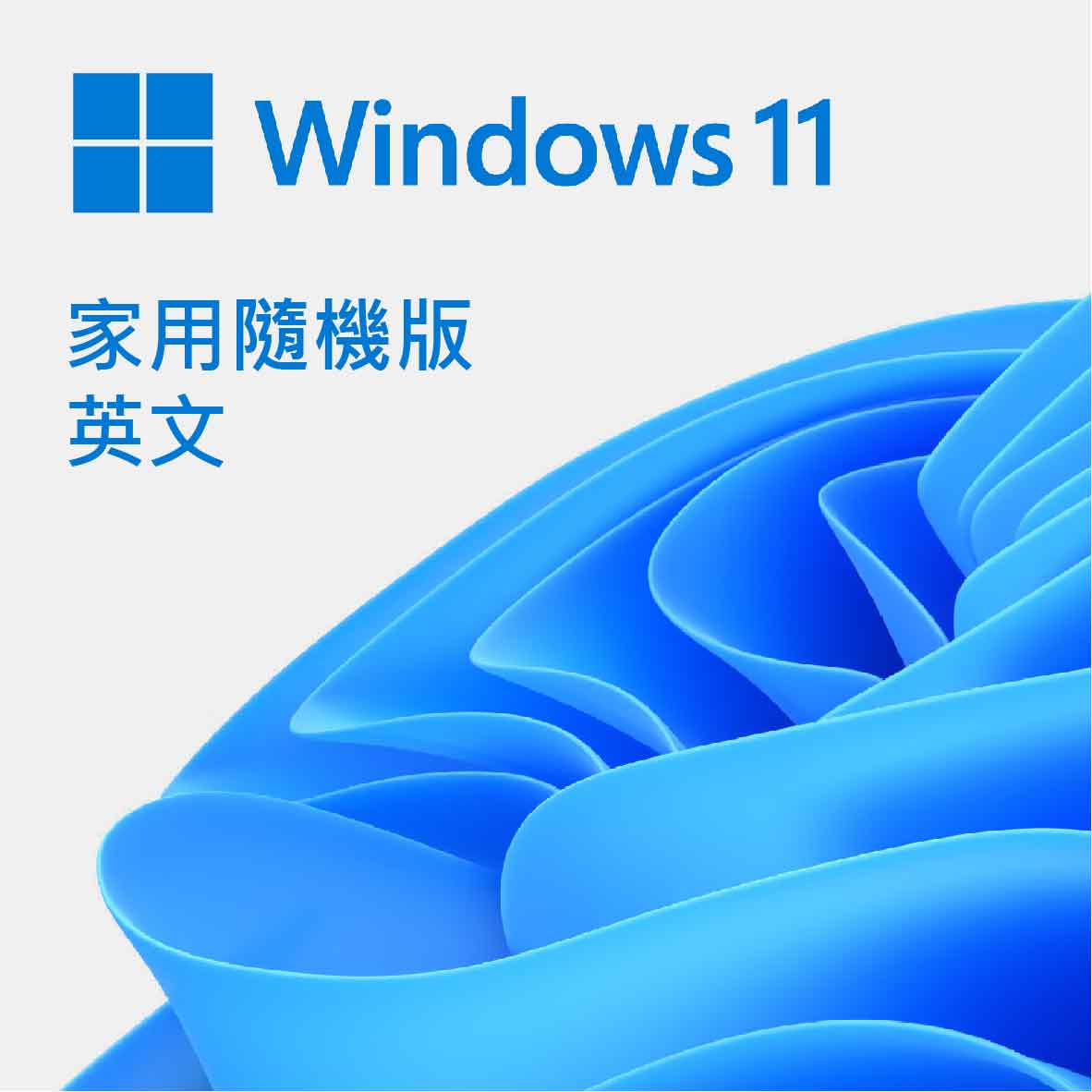 Windows 11 英文家用隨機版 64位元