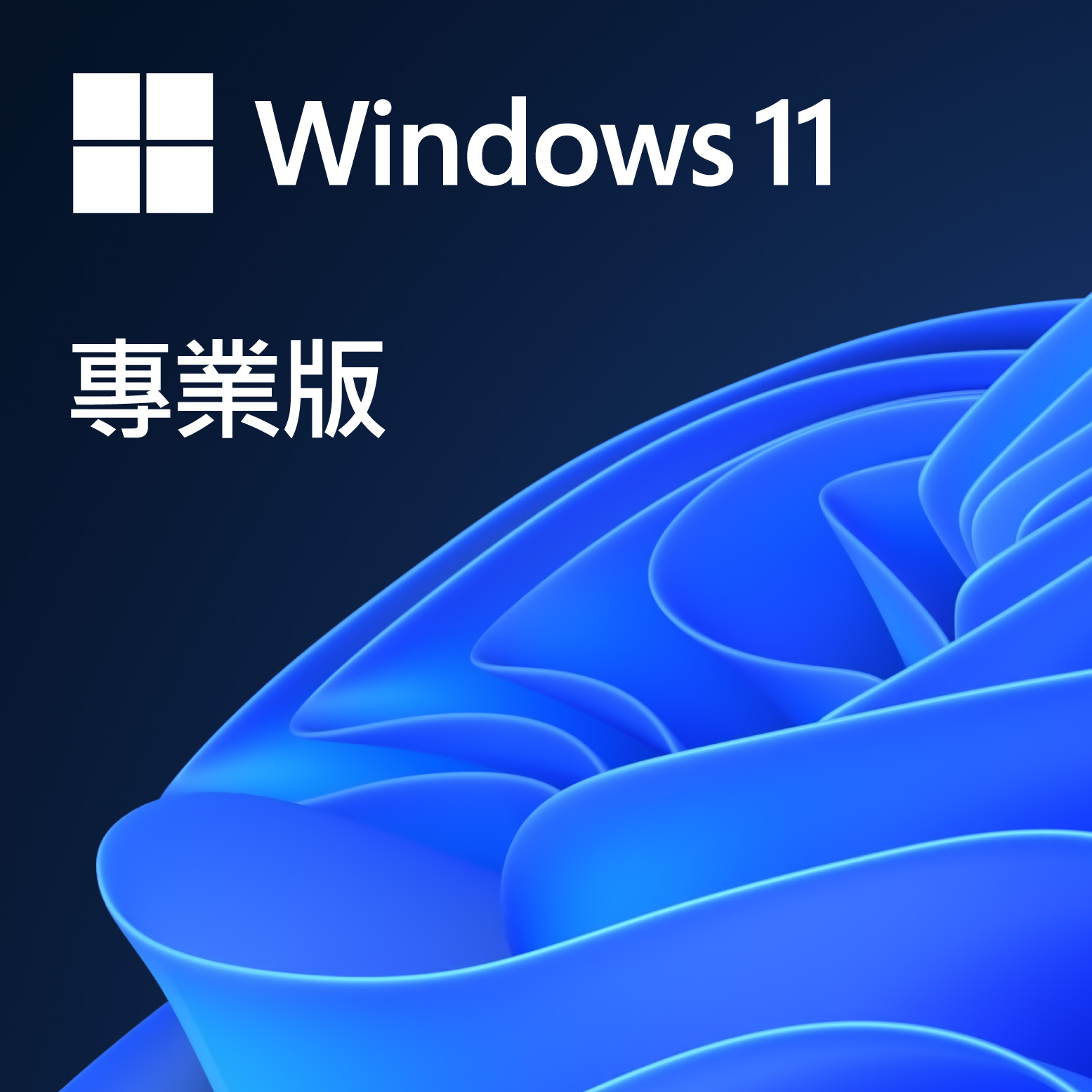 Windows 11 Pro 中文專業隨機版 64位元