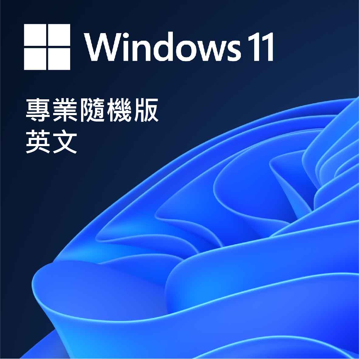 Windows 11 Pro 英文專業隨機版 64位元
