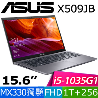 華碩 X509JP-0101G1035G1(星空灰)