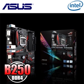 華碩 ROG STRIX B250G GAMING(M-ATX/1D1H/2*M.2/Ｉ網/註五年)