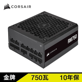 海盜船 RM750(750W) 參8/金牌/全模組/2021新版/10年(CP-9020234)