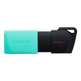 金士頓 DT Exodia M 256G 推蓋式 / USB3.2 G1 Type-A / 五年保 (DTXM/256GB)
