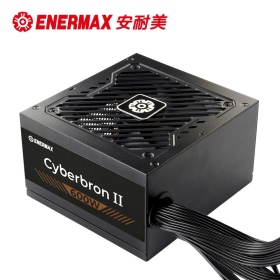 安耐美 Cyberbron II 600W /雙8/銅牌/直出扁線/主日系/5年