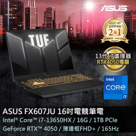 華碩 FX607JU-0033B13650HX(御鐵灰)(i7-13650HX/RTX4050/16G/1T/16吋)