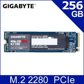 技嘉 NVMe 256G M.2 2280 PCI-E 固態硬碟/讀:1700M/寫:1100M