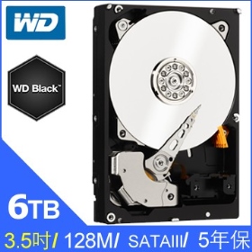 WD 6TB【黑標】(128M/7200轉/雙處理器/五年保)(WD6004FZWX)