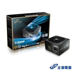 全漢 HYDRO GSM PRO 650W 雙8/金牌/半模/全日系/10年保