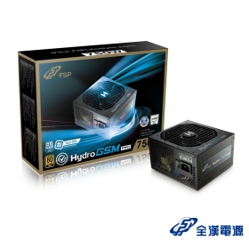全漢 HYDRO GSM PRO 750W 雙8/金牌/半模/全日系/10年保