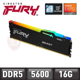 金士頓 單條 16GB DDR5-5600(CL36) FURY Beast RGB (獸獵者)(KF556C36BBEA-16)