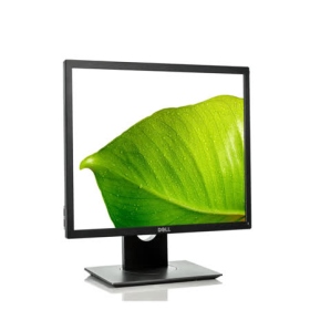 DELL P1917S(1A1H1P/6ms/IPS/無喇叭/1280*1024/5:4)