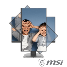 MSI PRO MP253P〈1A1H1P/IPS/100Hz/含喇叭〉可升降旋轉