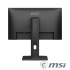 MSI PRO MP253P〈1A1H1P/IPS/100Hz/含喇叭〉可升降旋轉