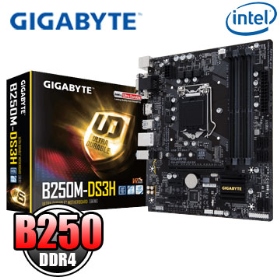 技嘉 B250M-DS3H(M-ATX/1A1D1H/M.2/註四年)