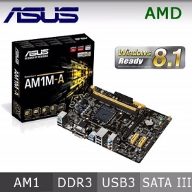 華碩 AM1M-A/M-ATX/1A1D1H/COM/U3S6/前U3/全固/4年