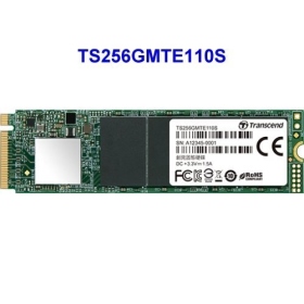 Transcend 創見 MTE110S 256GB M.2 PCIe/讀1600M/寫800M/五年保