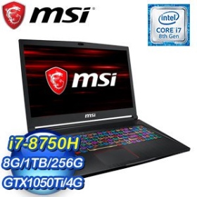 MSI GS73 8RD[001TW] i7-8750H/8G/256G1T/1050Ti-4G