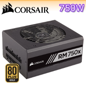 海盜船 RM750(750W) 雙8/金牌/全模/全日系/10年保固