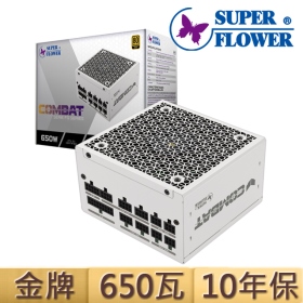 振華 COMBAT FG 650W ATX3.1 金牌 全模組電源供應器