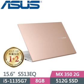 華碩 S513EQ-0182D1135G7(魔幻金)(i5-1135G7/8G/512G/MX350-2G)