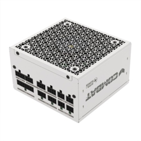 振華 COMBAT FG 850W 白色 雙8/金牌/全模/ATX3.1(PCIe 5.0)/主日系/10年保