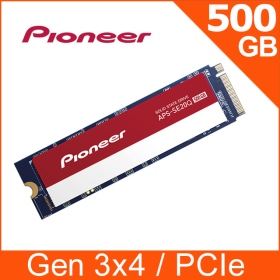 先鋒 Pioneer APS-SE20Q-500G/M.2 PCIe 2280/讀:2000M/寫:1000M【五年】