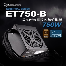 銀欣 750W 雙8/銅牌/直出線/扁平線/5年保(ET750-B)