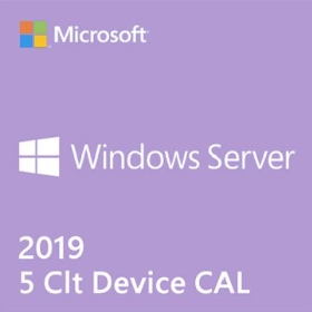 Windows Server CAL 2019 繁中 5 Clt Device CAL 隨機版【存取授權，非Server軟體】