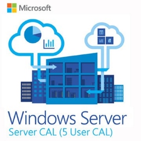 Windows Server CAL 2019 繁中 5 Clt User CAL 隨機版【存取授權，非Server軟體】