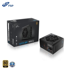 全漢 VITA GM 650W 雙8/金牌/全模/主日系/ATX3.0/10年保