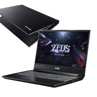 捷元 ZEUS 15H-J0045351 (i7-11800H/8G/512G/3060 6G/144Hz)